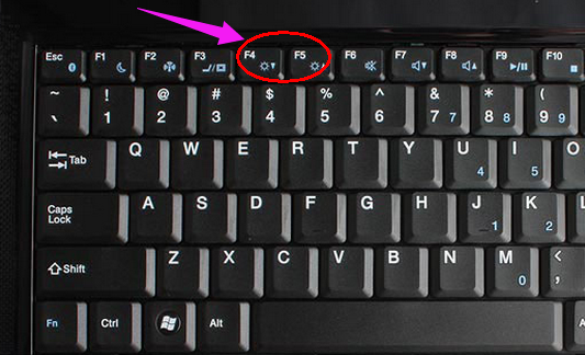 113PR5D-0.png