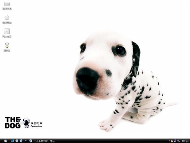 �����Ȯ��������