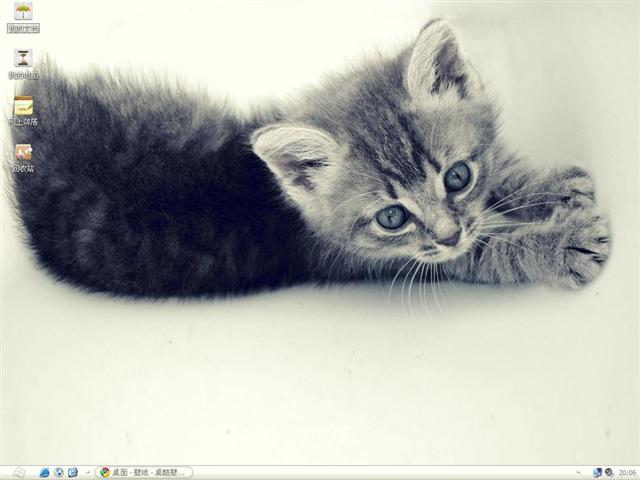 ��˯Сè����������