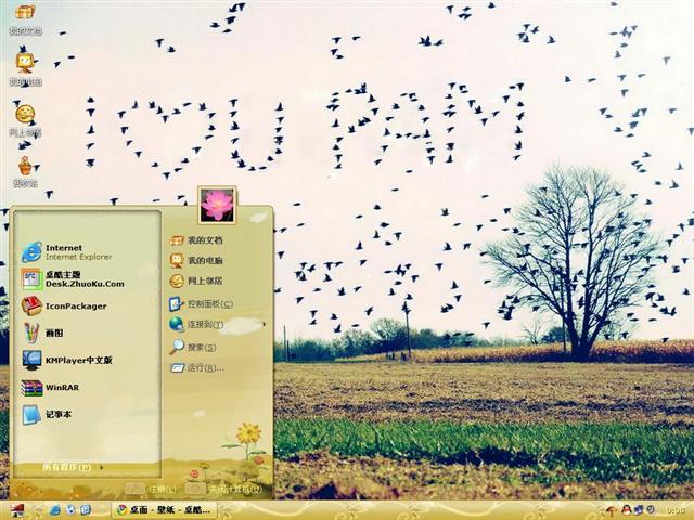 ���񻨿���������