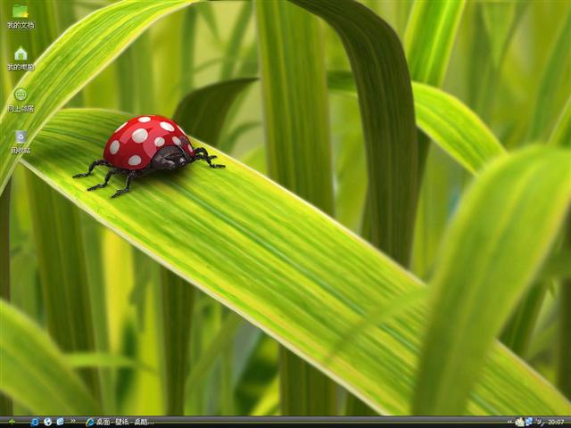 ư����������