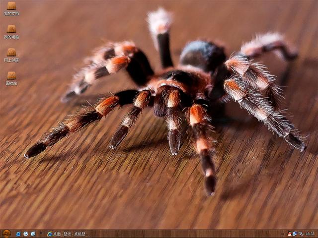 ֩����������