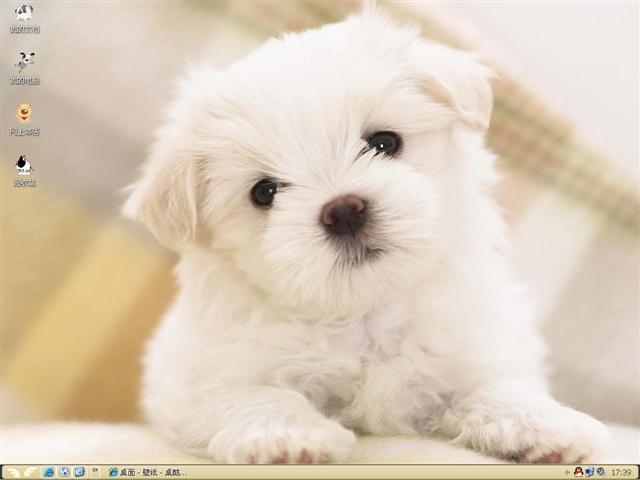 �ɰ�������������