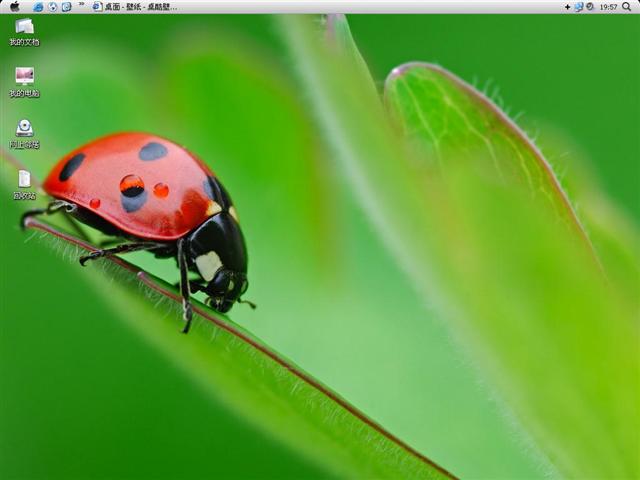 Leopard����������