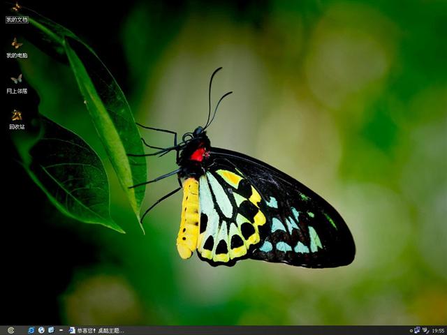 ������������