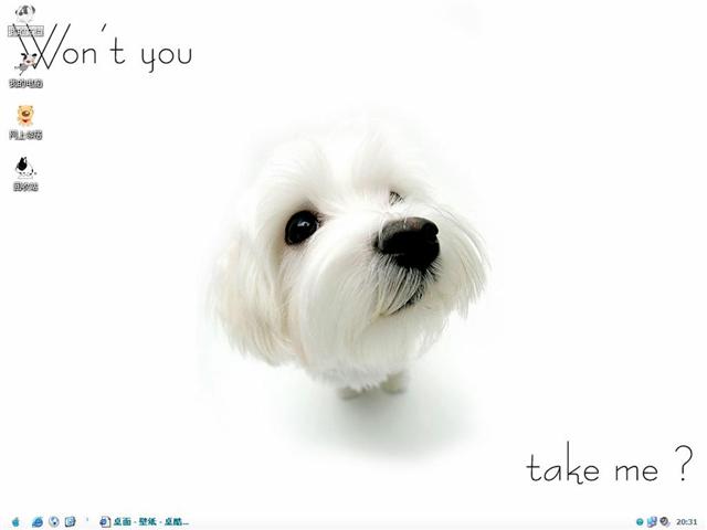 Ư��������������