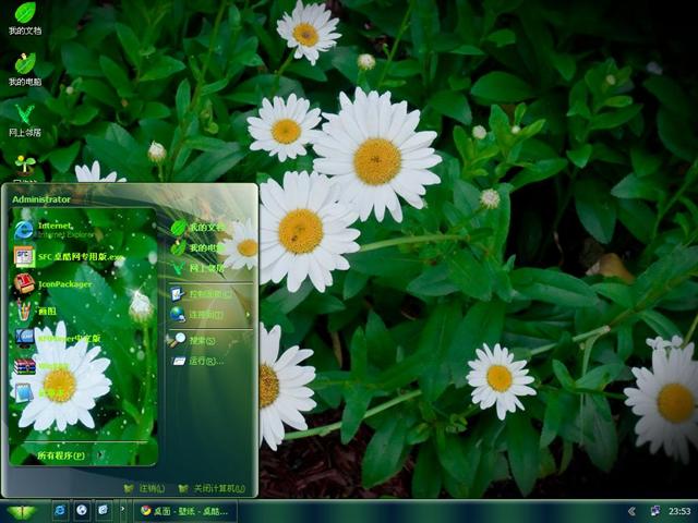 �ʻ���Ҷ��������