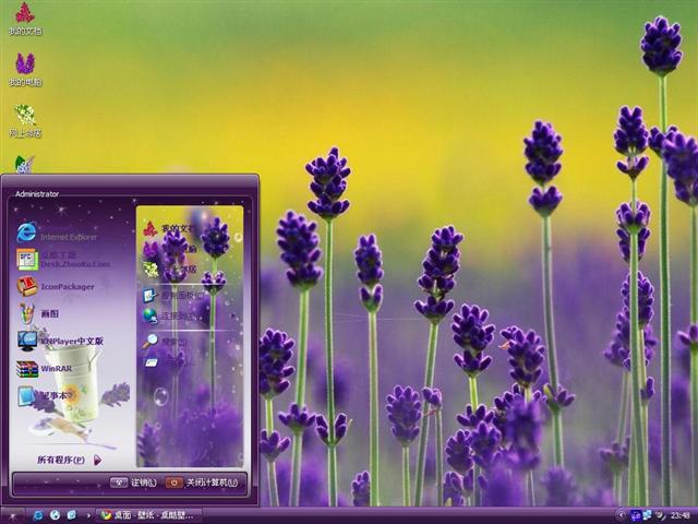 ޹�²���������