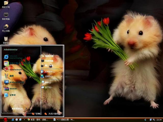 �󰮲�����������