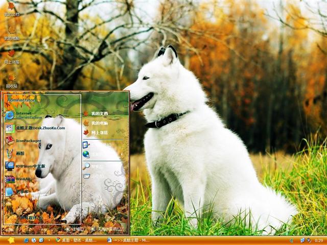 С���Ĺ�����������