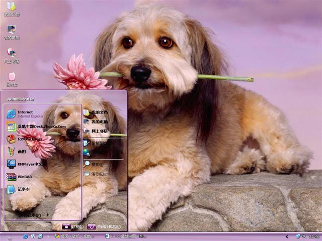 ���ﹷ��������