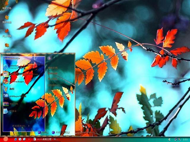 �����Ҷ��������