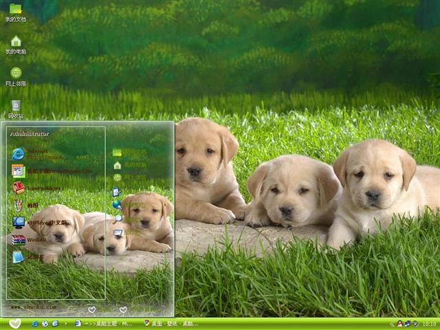 ������������������