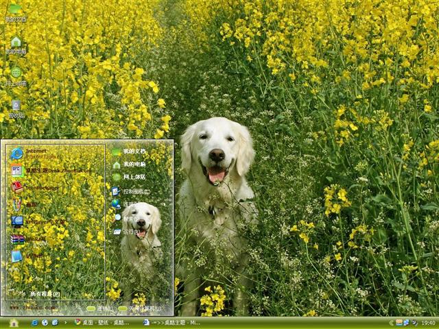 �Ͳ˻�������������