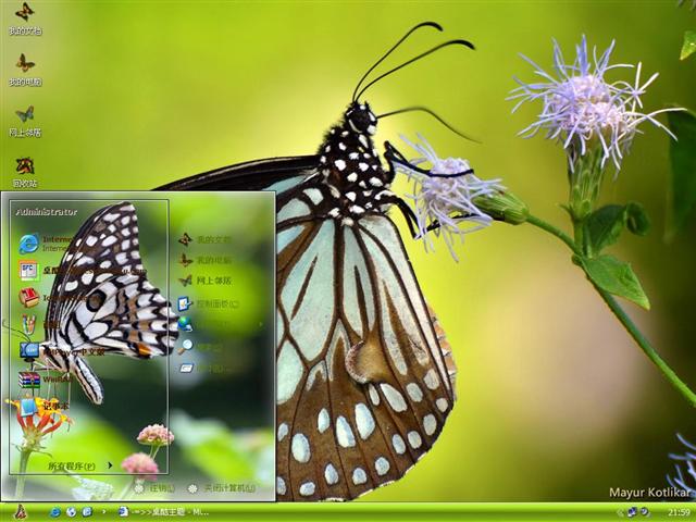 ����΢����Ӱ��������