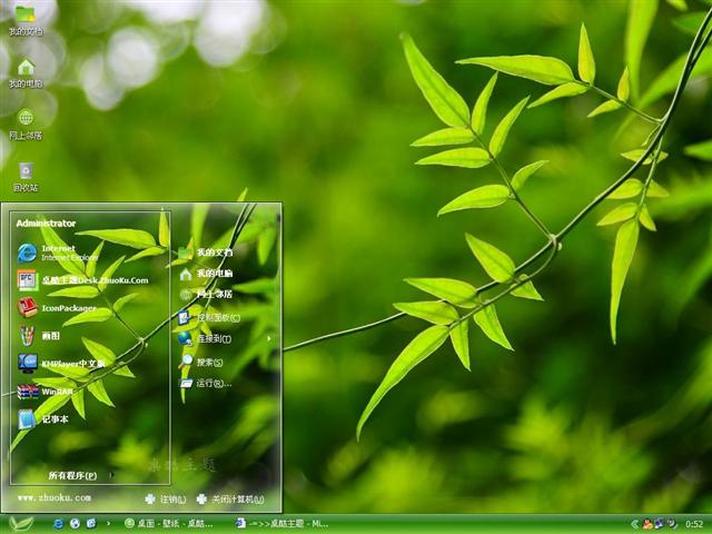 ������Ҷ��������